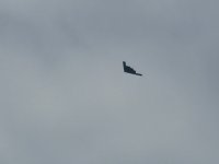 IMG_5604.jpeg