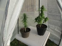 IMG_2623.JPG