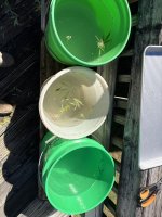 IMG_5657.jpeg