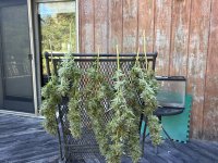IMG_5650.jpeg