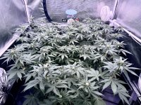 IMG_0287.jpeg