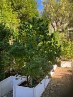 IMG_6067.jpeg