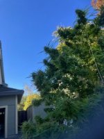 IMG_6069.jpeg