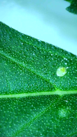 2026_10_24_18_20_45_438.png