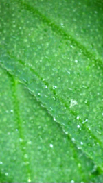2026_10_24_18_22_33_290.png
