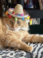 IMG_2920.jpeg