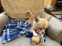 IMG_5482.jpeg
