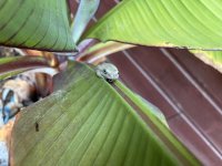 IMG_5488.jpeg