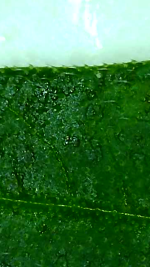 2026_10_28_18_42_11_584.png