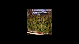 photo21018.png