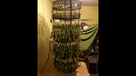 photo21022.png