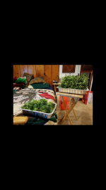 photo21024.png