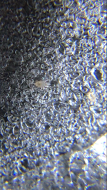 photo21103.png