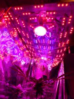 photo2420.JPG