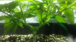 20161114_040431.jpg
