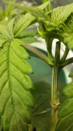 20161023_224936.jpg
