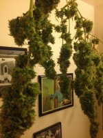photo2776.JPG