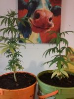 20161117_092658.jpg