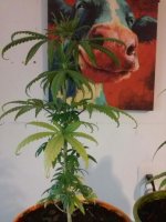 20161117_092637.jpg