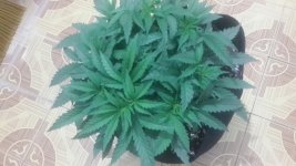 20161118_194948.jpg