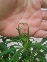 20161124_161602.jpg