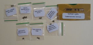 Seedsman Order 2.jpg