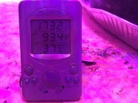 IMG_0616.jpg