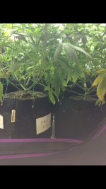 photo22315.jpg