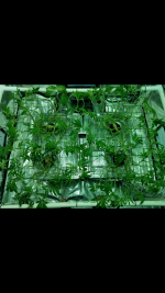 photo22378.png