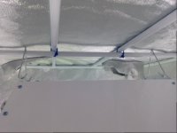 rafters hang.JPG