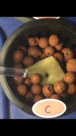 IMG_0162.PNG
