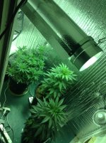 photo22603.jpg