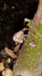 IMG_20170628_082923159.jpg