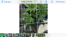 IMG_0236.PNG IMG_0236.PNG