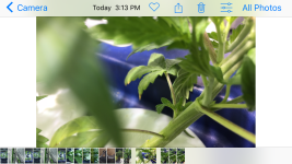IMG_0235.PNG IMG_0235.PNG