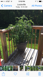 IMG_0238.PNG IMG_0238.PNG
