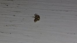 IMG_20170706_204701803.jpg