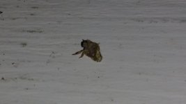IMG_20170706_204720039.jpg