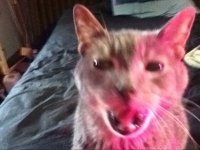photo24325.jpg