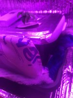 photo24623.jpg