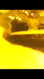 IMG_0355.PNG
