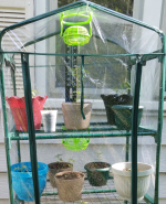 photo24774.png