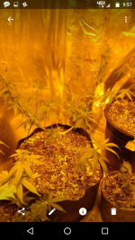 Screenshot_20170717-095740.png