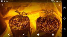 Screenshot_20170717-095721.png