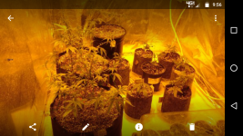 Screenshot_20170717-095634.png