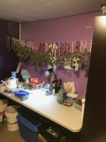 IMG_0074.JPG