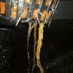 photo25270.jpg
