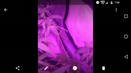 Screenshot_20170725-070016.png