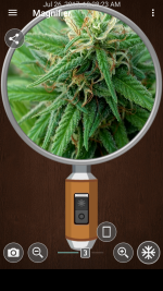 magnifier_20170726_102823.png