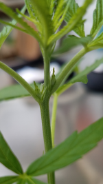 photo25602.png
